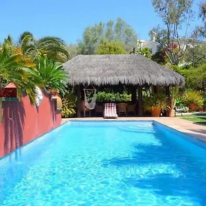 Hotel Casa Palmeras (adults Only), Marbella